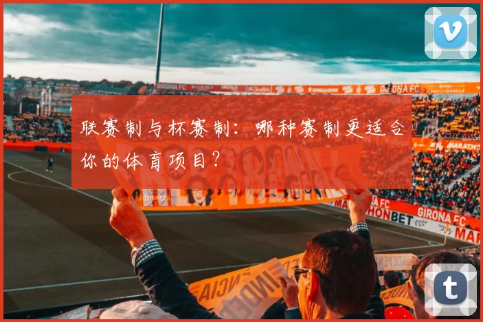 联赛制与杯赛制：哪种赛制更适合你的体育项目？