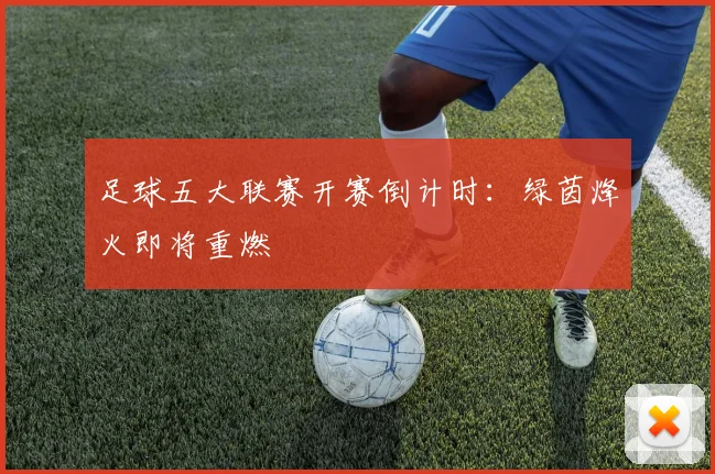 足球五大联赛开赛倒计时：绿茵烽火即将重燃