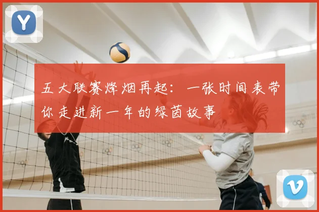五大联赛烽烟再起：一张时间表带你走进新一年的绿茵故事